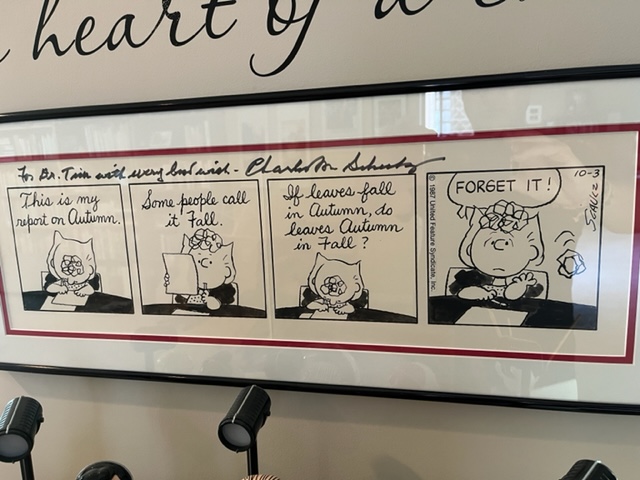 Peanuts cartoon