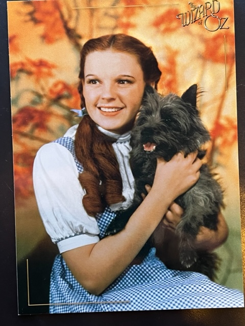 Dorothy-1